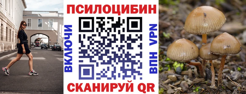 Галлюциногенные грибы Cubensis  Арамиль 
